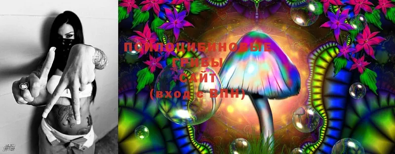 Галлюциногенные грибы Magic Shrooms  Красный Кут 